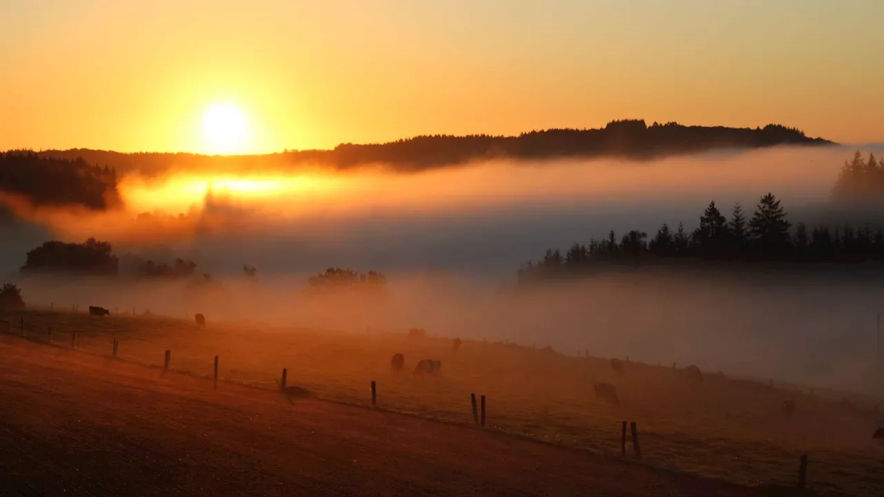 Météo en Belgique : dimanche au sec et gelées blanches en Ardenne ce matin