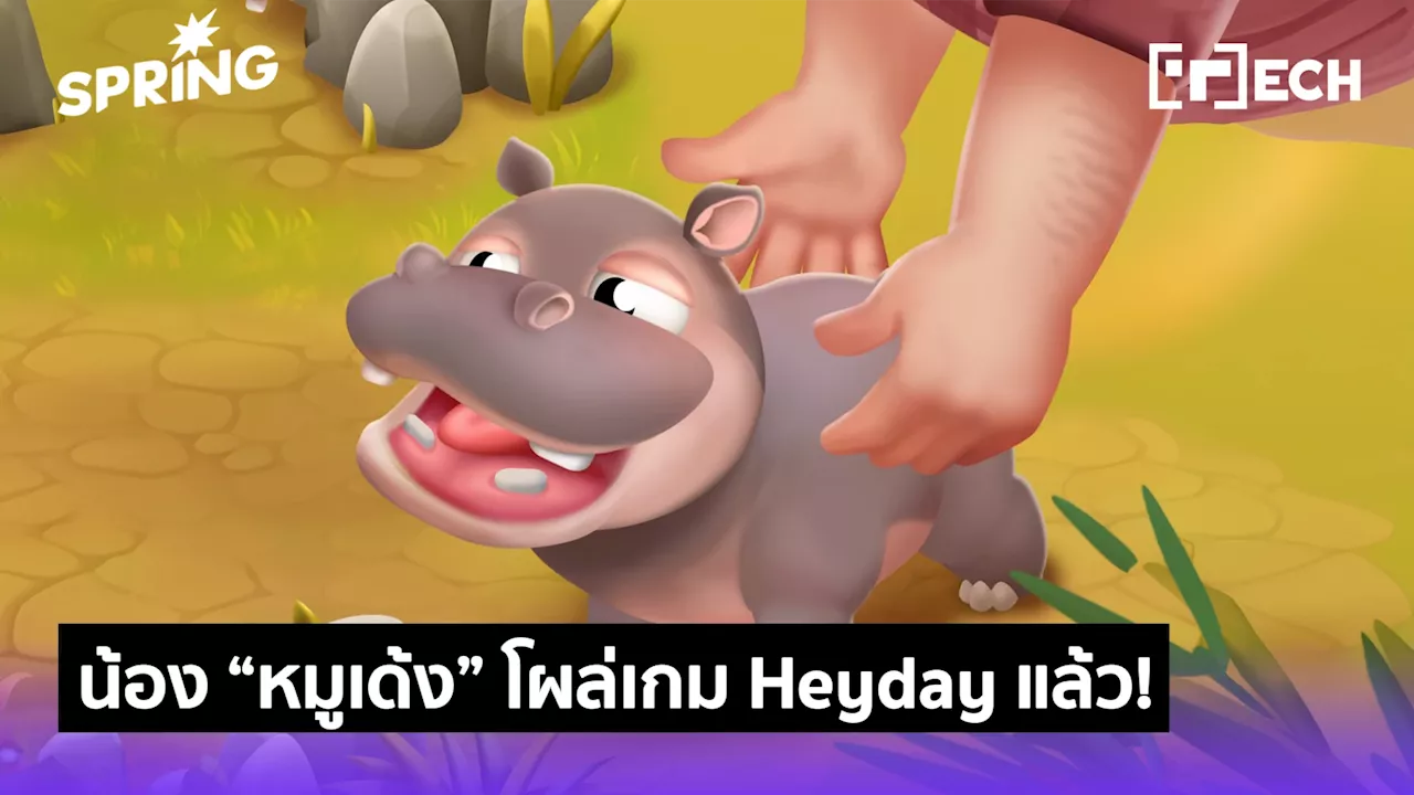 น้องหมูเด้ง โผล่เกม Heyday ตัวละครสุดน่ารัก ดูแลได้ ไม่ต้องไปถึงเขาเขียว!
