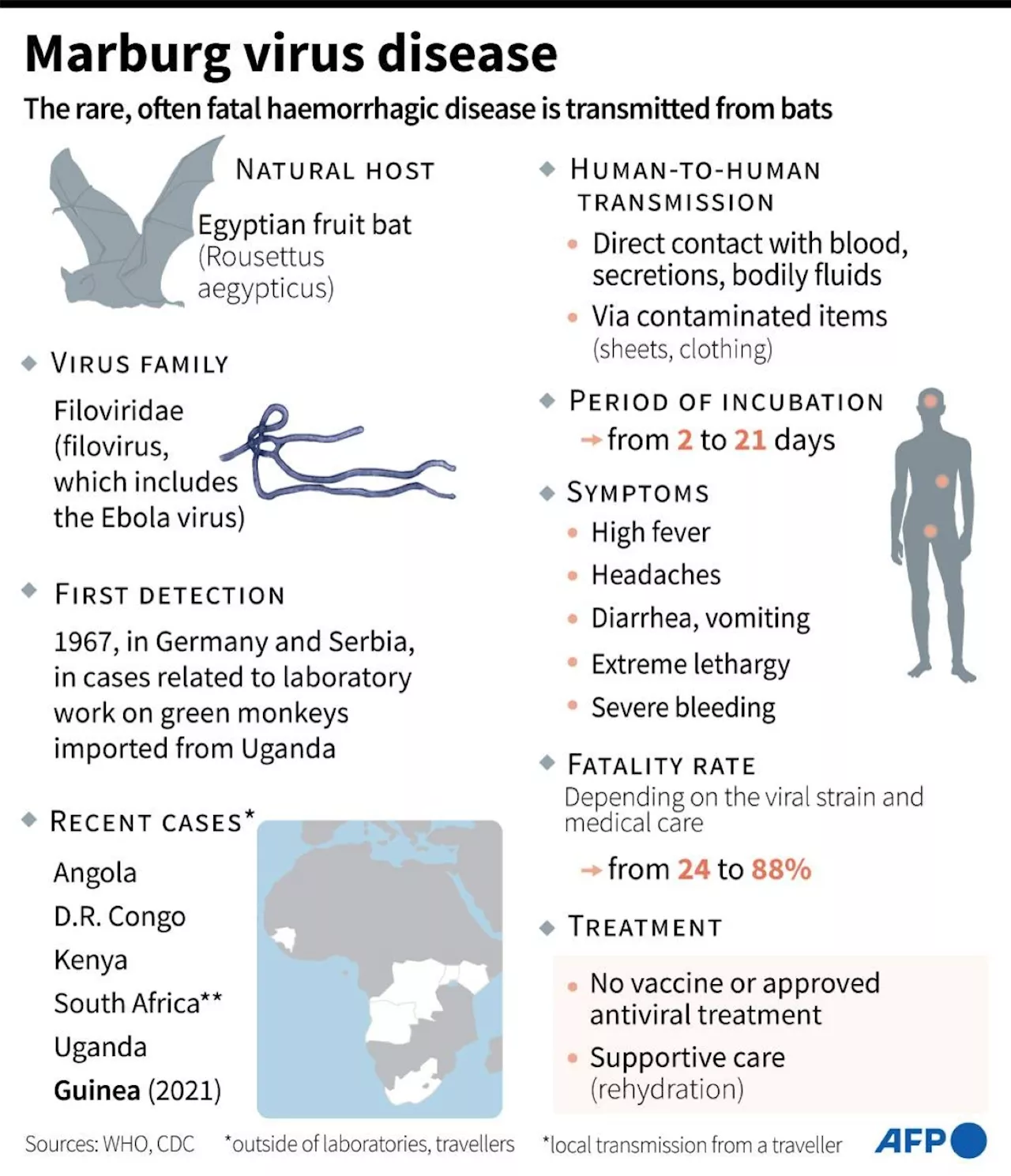 Six Dead in Rwanda Outbreak of Marburg Virus