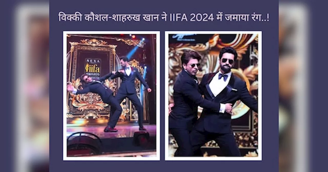 IIFA 2024: ऊ अंतवा और झूमे जो पठान पर शाहरुख-विक्की ने अपने डांस से जमाया ऐसा रंग; जीत लिया सभी का दिल