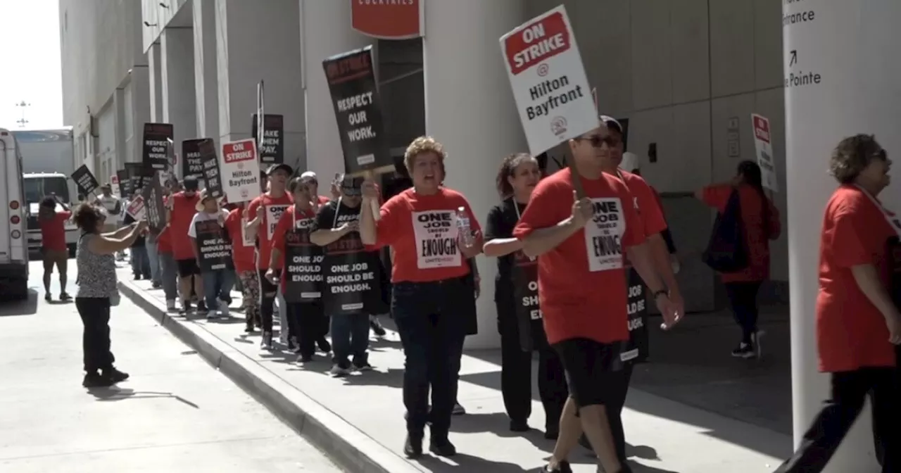 Hilton Bayfront Hotel workers strike for third day as bargaining meeting stalls