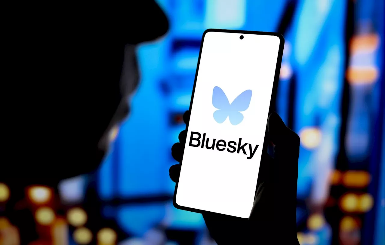 Bluesky : Le réseau social bat des records d’activité au Brésil après l’interdiction de X