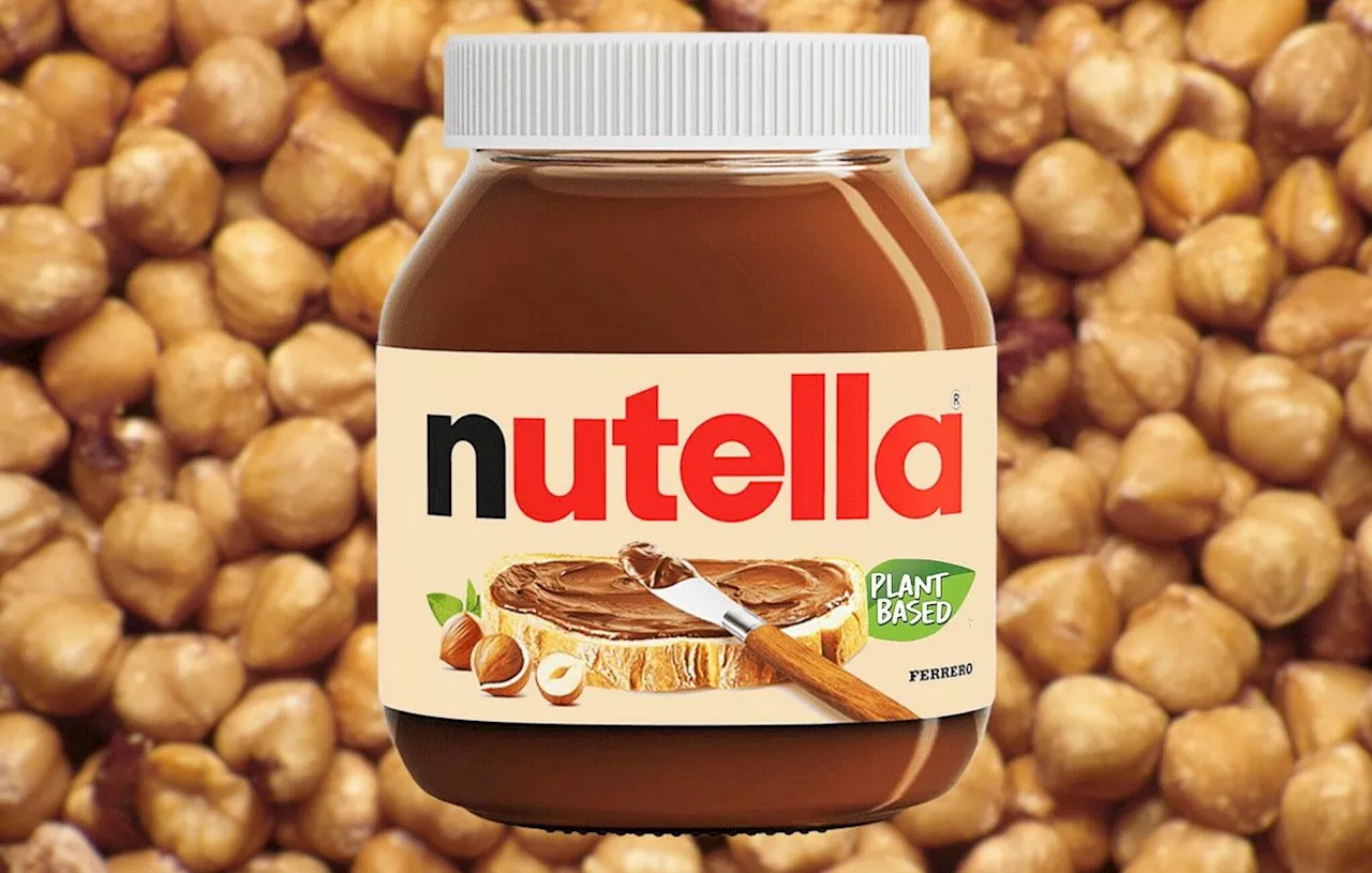 Nutella : La version vegan de la célèbre pâte à tartiner va – enfin ?