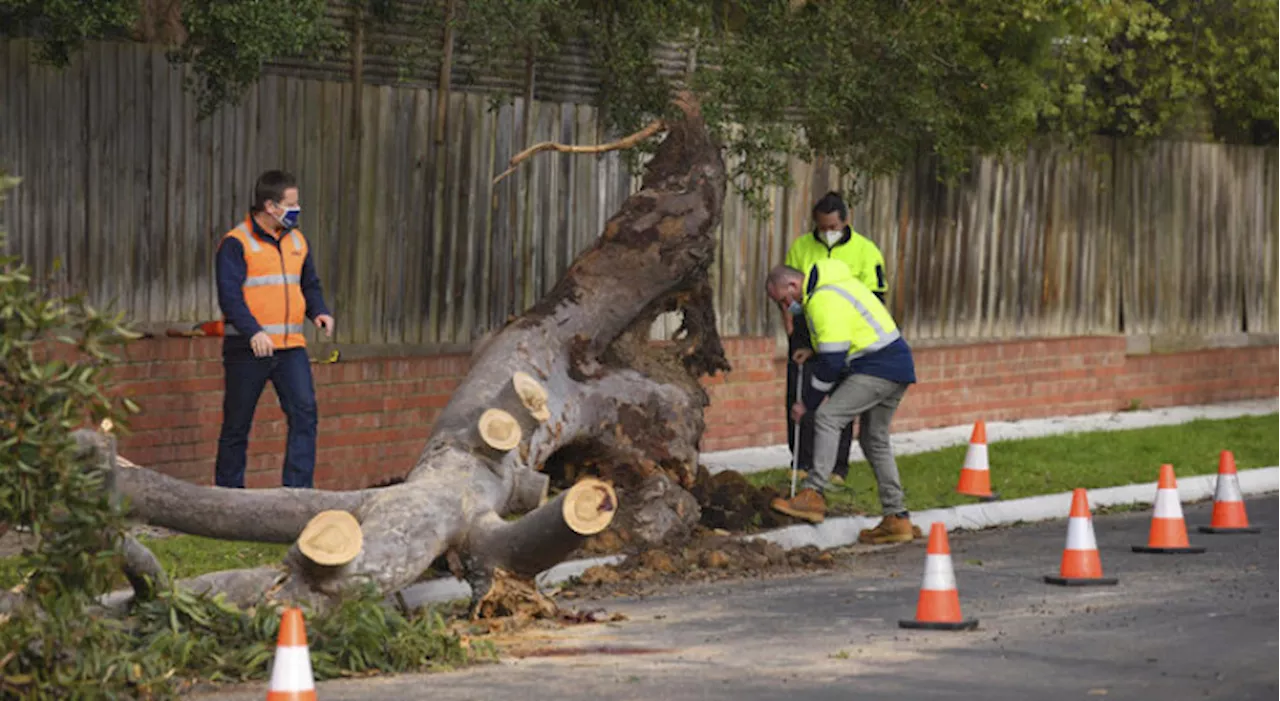 One dead as storms hit Australia's southeast