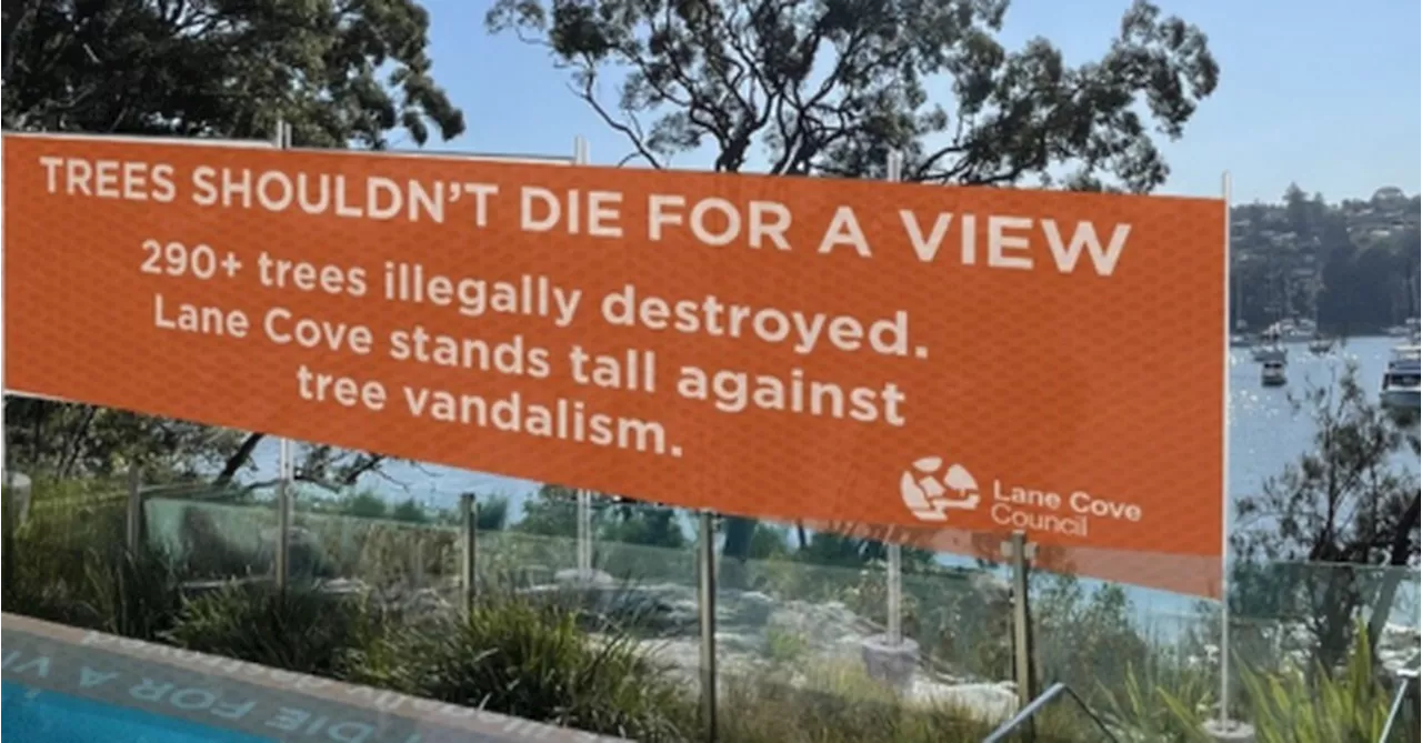 Construction begins on view-blocking banner after 'tree vandalism' in Sydney's North Shore