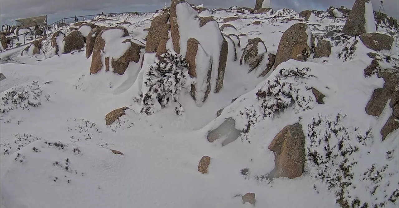 'Incredibly frustrating' rescue mission as 18 climbers found on mountain during Tasmania's extreme weather