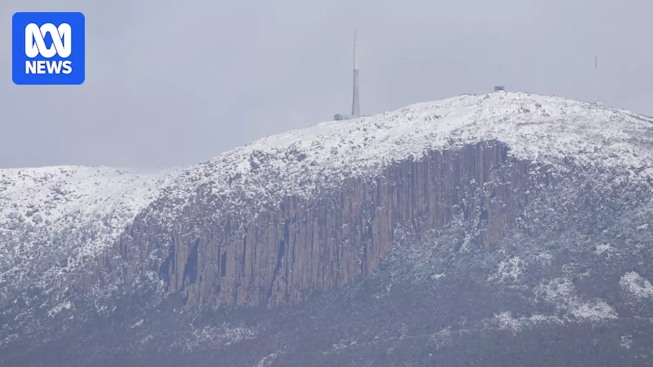 More than a dozen bushwalkers rescued from kunanyi/Mt Wellington during severe weather