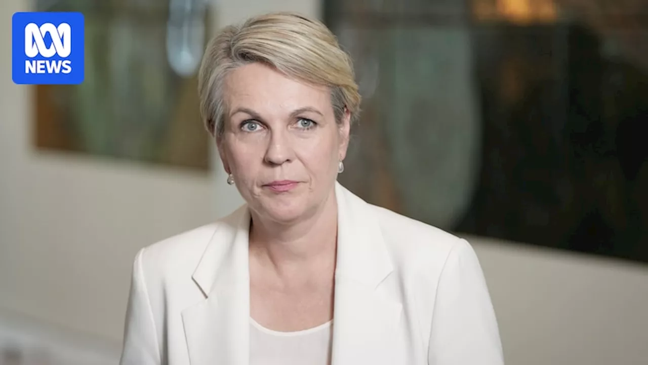 Plibersek downplays implications of Regis gold mine rejection and hints at 'fast-track' if company reapplies