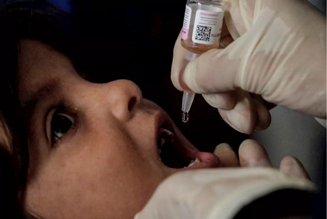 Oms, vaccino antipolio a 160 mila bambini a Gaza in pochi giorni