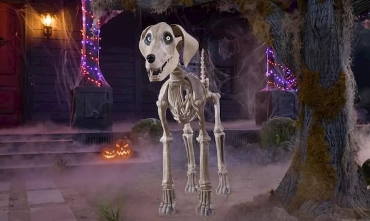 7-foot Skelly Dog for sale at Home Depot as companion for 12-foot skeleton