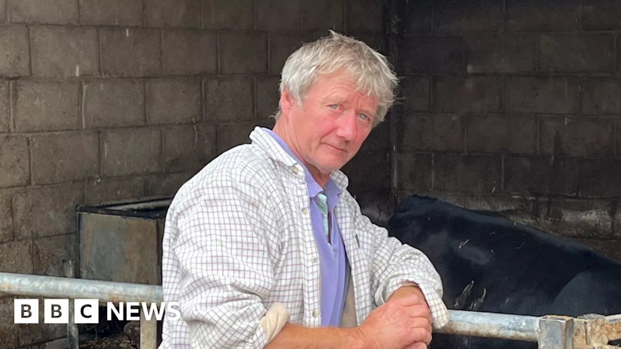 Shropshire dairy herd faces slaughter due to TB as farmer retires