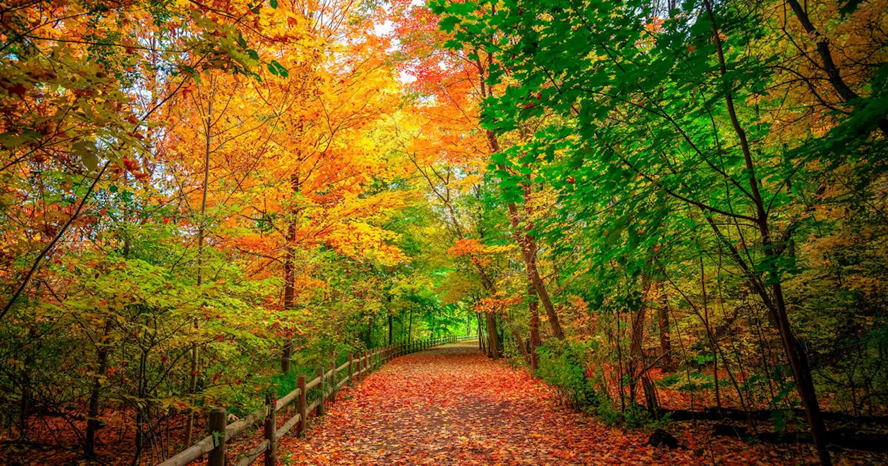 Fall colours have already started to appear at Ontario parks