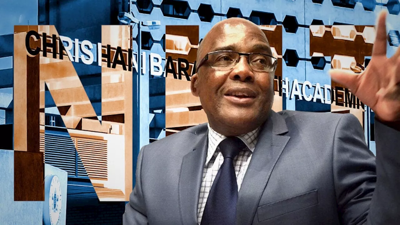 Motsoaledi slams NHI critics for ‘apartheid tactics’