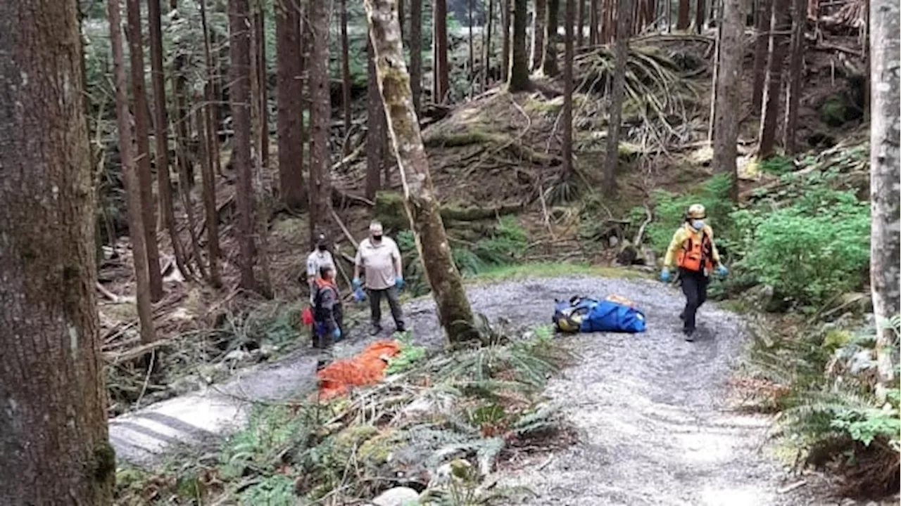 3 rescued hikers were unprepared, began late: North Shore Rescue