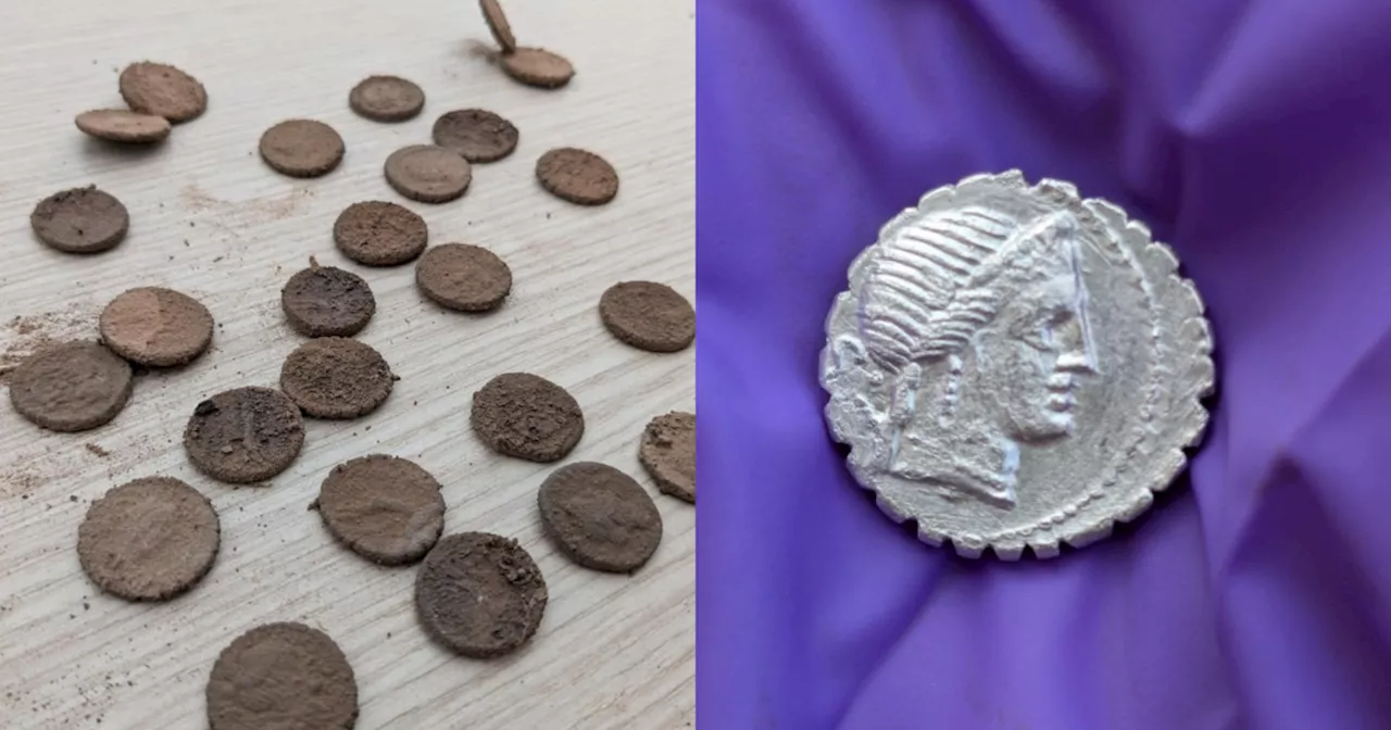 Treasure trove of ancient silver coins found 'hidden in a hole in the wall' in Sicily