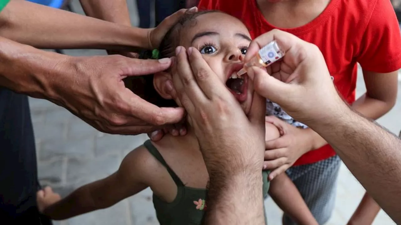 WHO surpasses polio vaccination targets in Gaza children