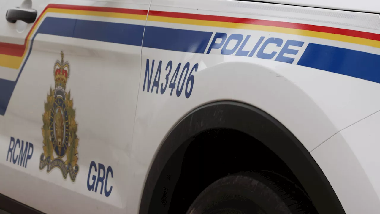 Nanaimo RCMP arrests machete-wielding man after reports of assault, broken windows, stolen vehicle