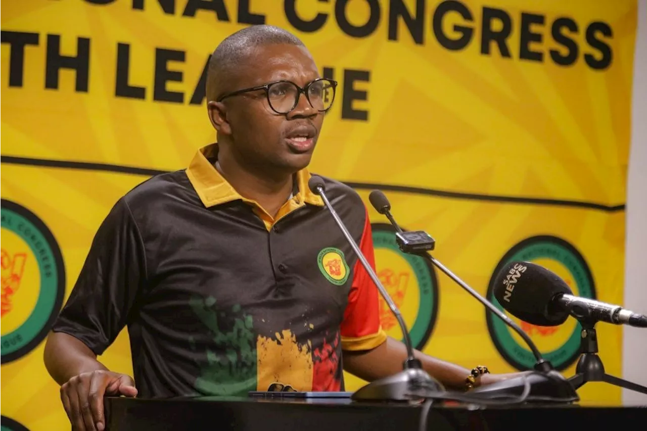 ANCYL president Malatji challenges SACP's Mapaila to form own structures, stop criticising ANC