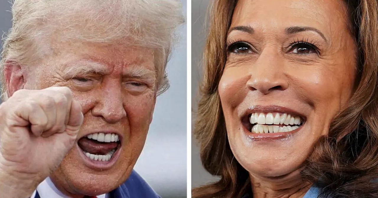 Pourquoi les insultes de Donald Trump contre Kamala Harris ne prennent pas