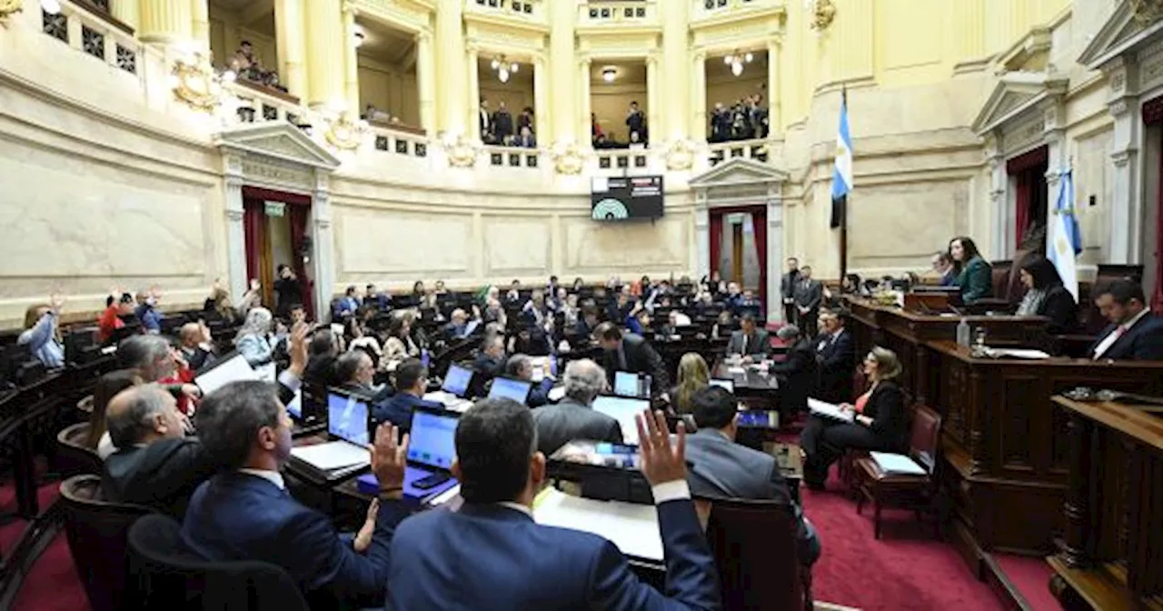 El Gobierno planea vetar el financiamiento universitario si se aprueba en el Senado