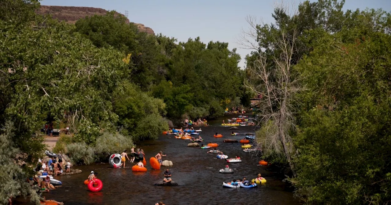 Antidepressants, birth control and cocaine: Researchers share what's also flowing in Clear Creek