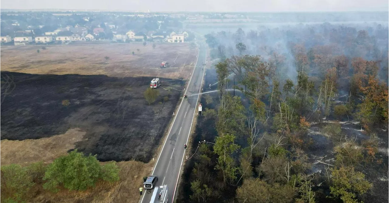 Löscharbeiten bei Waldbrand in Niederösterreich dauern weiter an