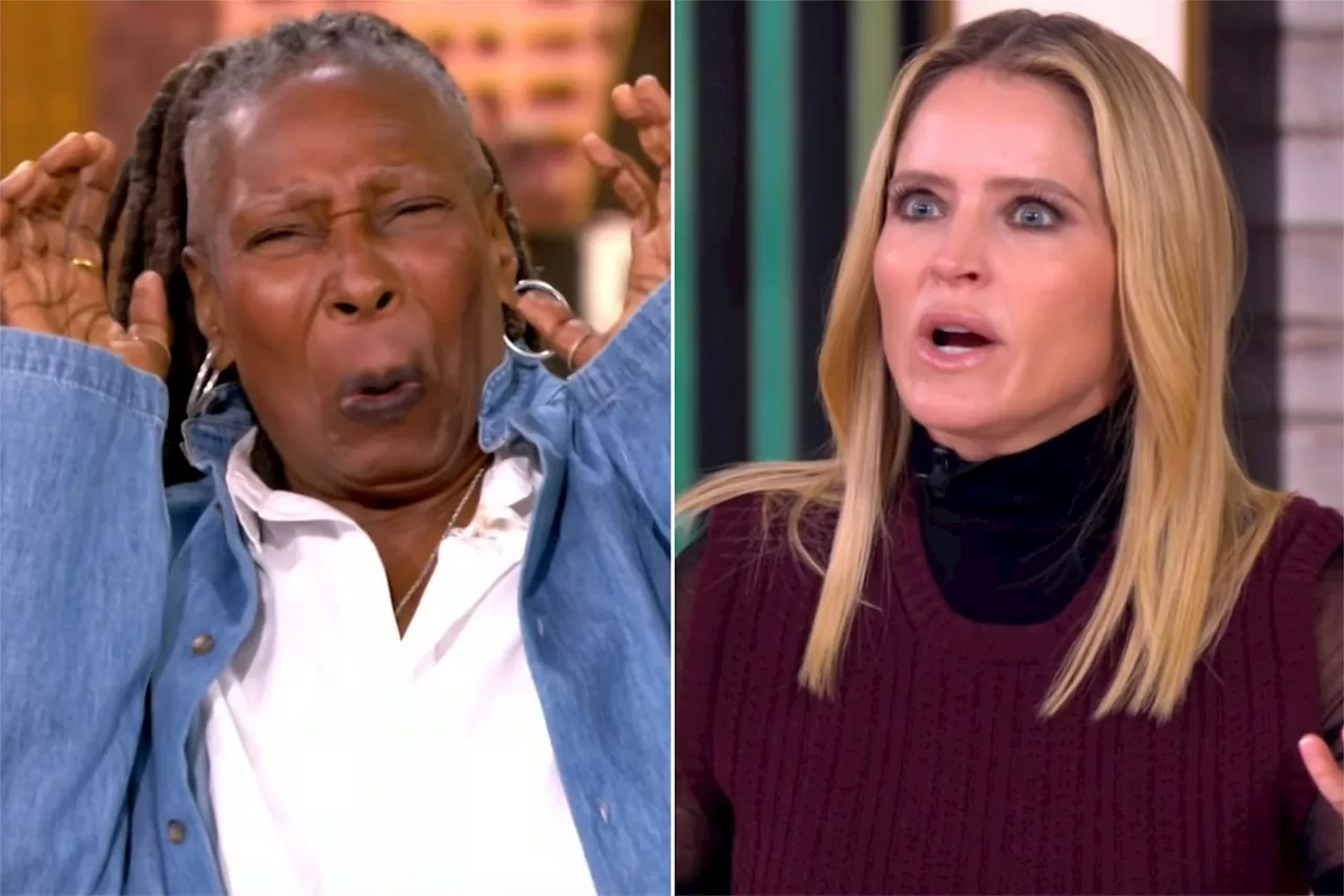 Sara Haines stuns The View cohost Whoopi Goldberg with cornhole reference: 'Not THAT cornhole'