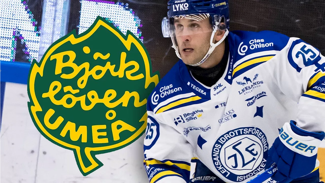 Björklöven och Carter Camper i tät dialog – då kan en värvning ske