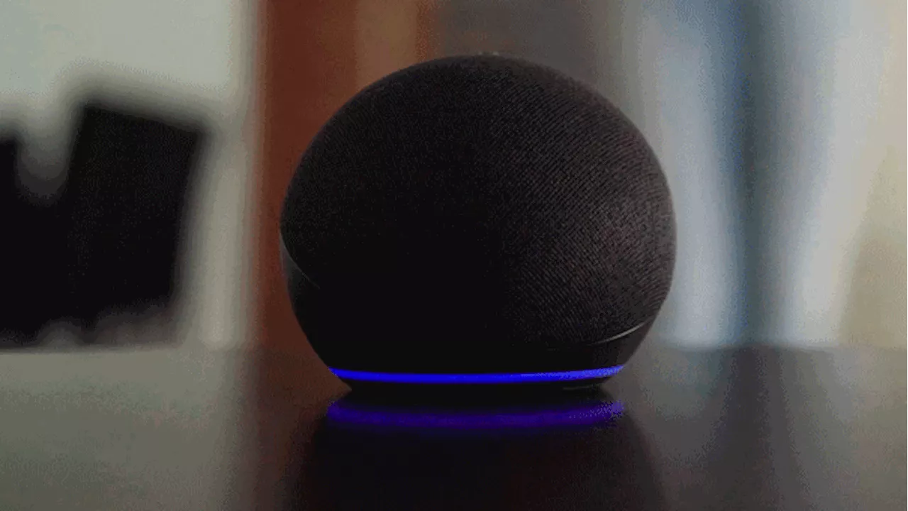 Amazon Alexa gives starkly different answers when asked why to vote for Trump versus Kamala Harris