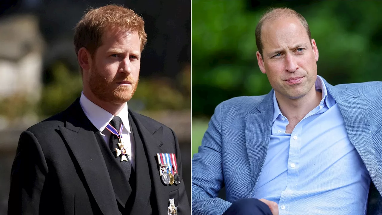 Prince Harry ‘missed an opportunity’ to repair Prince William feud: expert