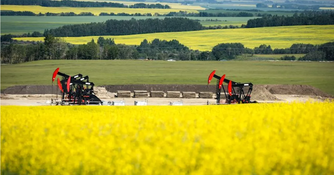 China hits Canada with anti-dumping canola probe after EV tariffs