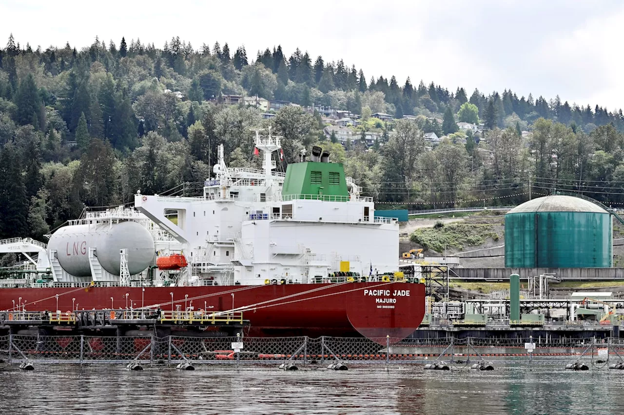 Trans Mountain oil pipeline expansion pushes rivals to cut rates