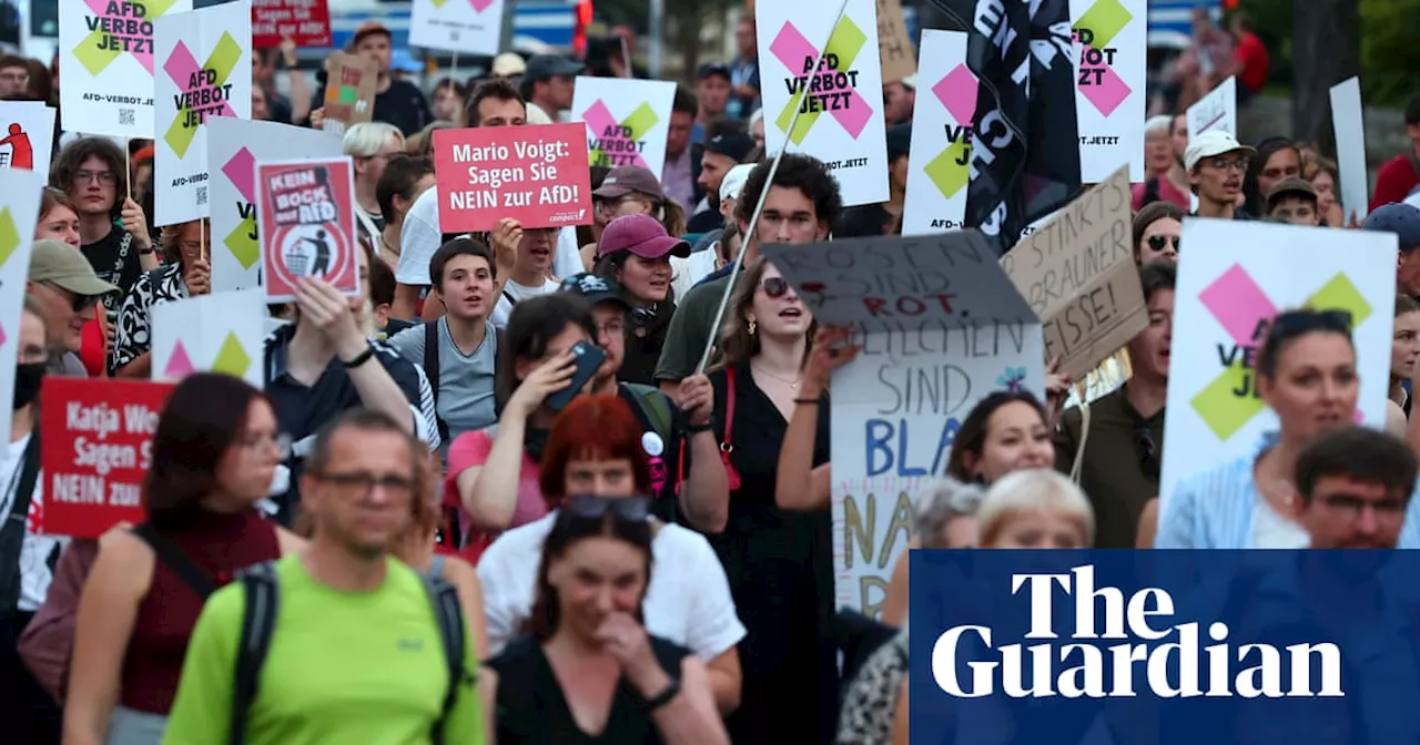 ‘A punch to the country’: German Jewish groups and minorities aghast at AfD victory