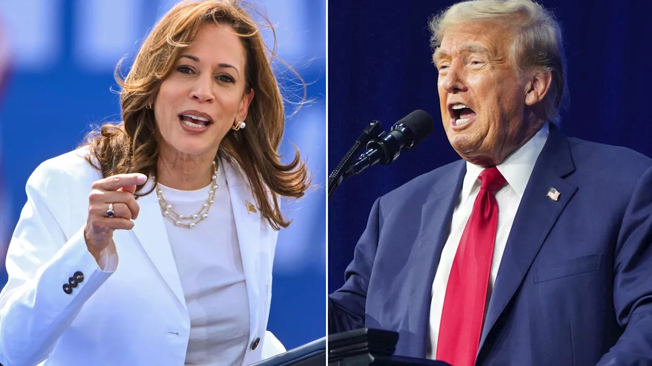 Harris vs. Trump, le presidenziali sono tutt'altro che decise