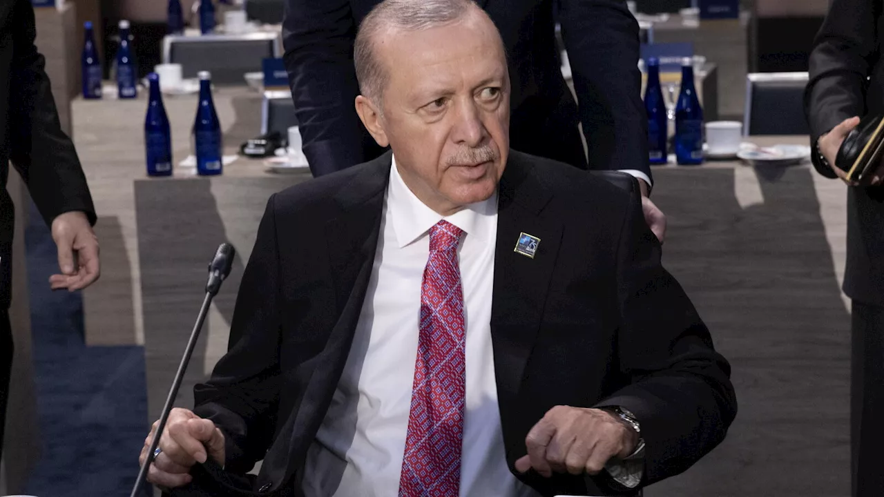 La Turchia nei Brics: Erdoğan non scarica l'Occidente, ma si prepara a un mondo post-occidentale