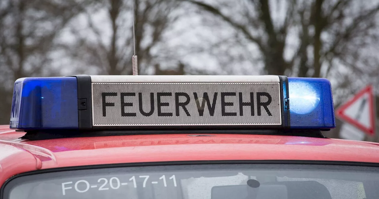 Große Menge Baumstämme brennen bei Regenstauf