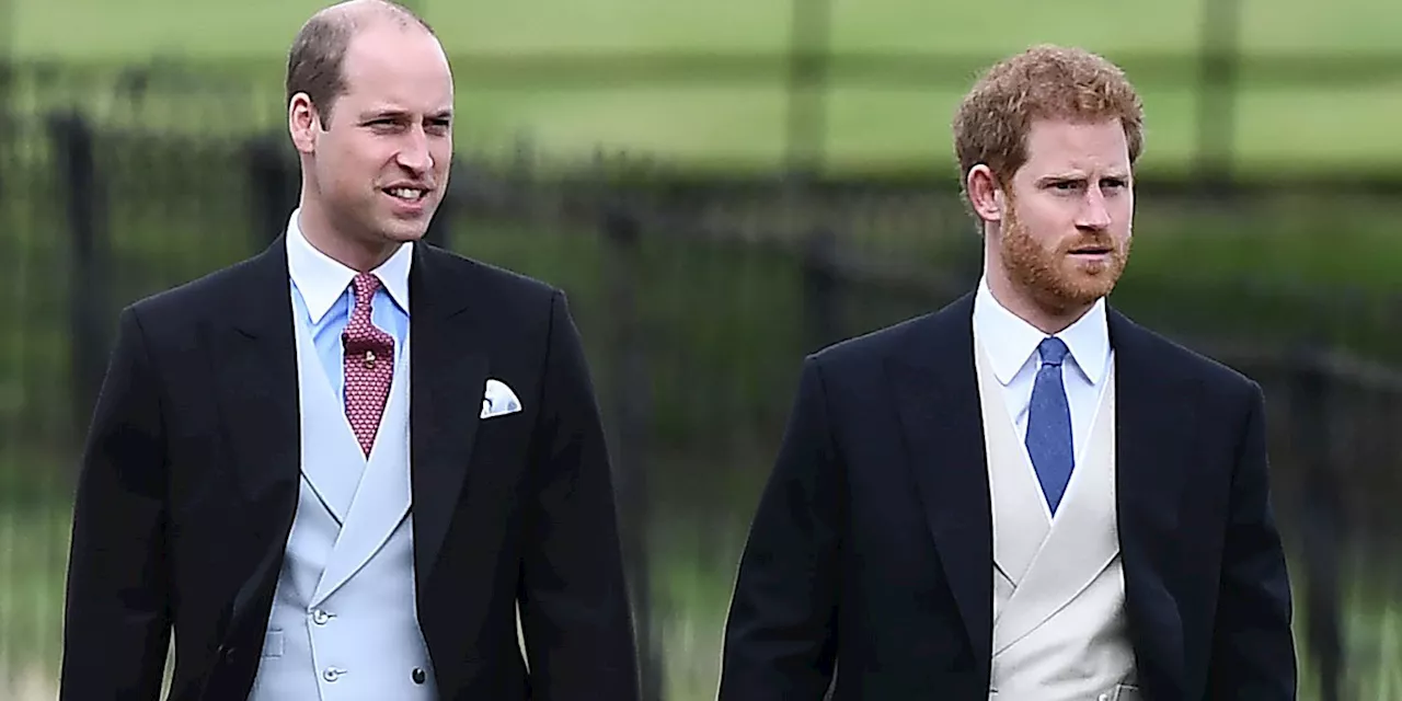 Princess Diana's Family Wants Prince Harry and Prince William to End Their Feud