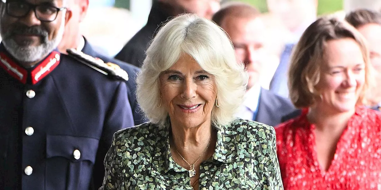 Queen Camilla Gave a Hopeful Update About King Charles's Health