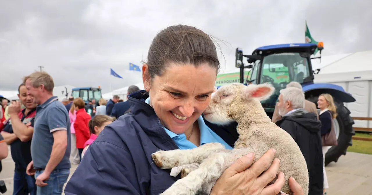 Ploughing Championships: Three-day-old lamb, a dance champion and Pony Club games set the scene