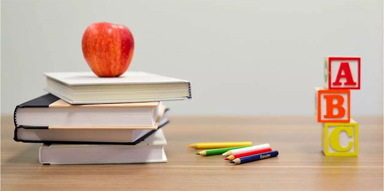 SA children face big school readiness challenges
