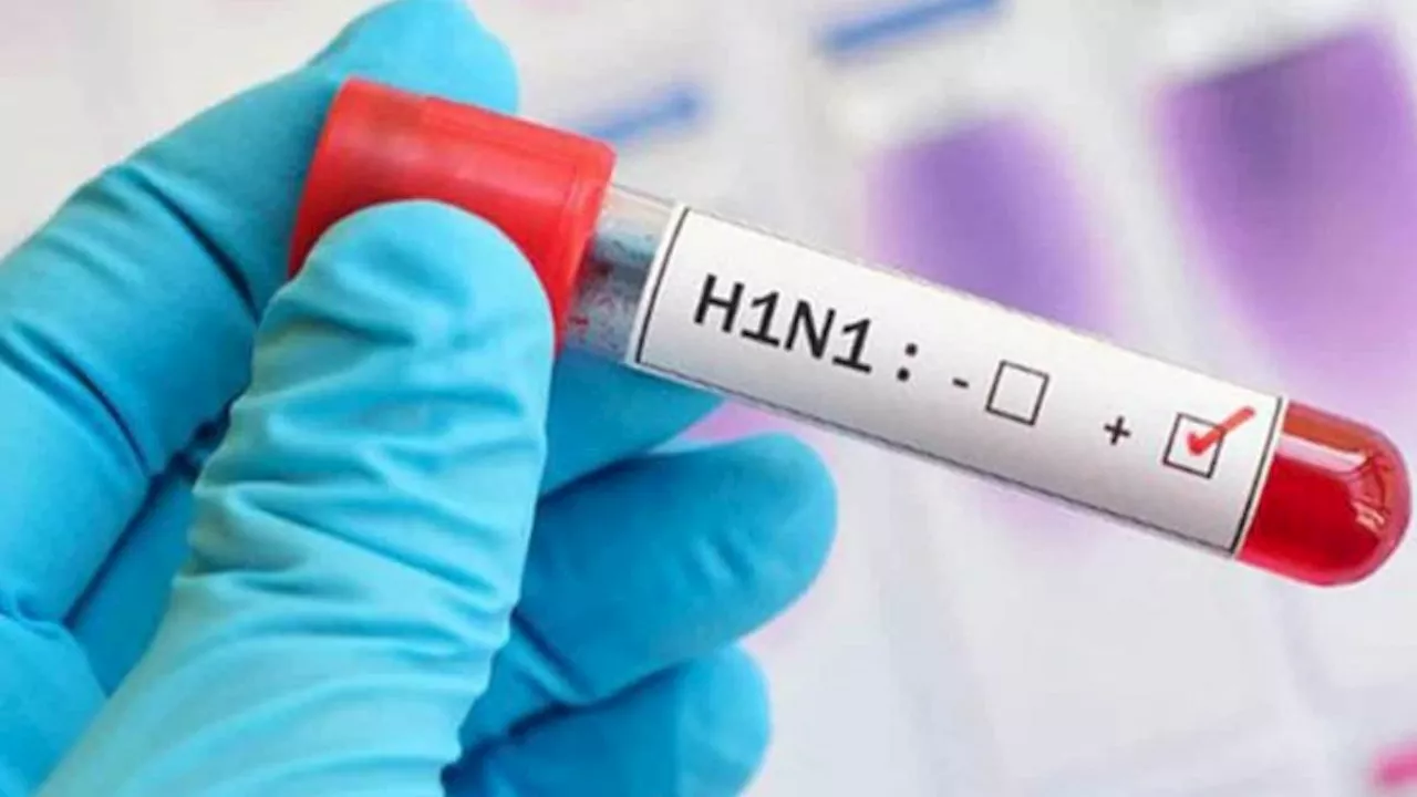 Swine Flu: छत्तीसगढ़ में स्वाइन फ्लू ने बढ़ाई टेंशन, दुर्ग में चौथी मौत से हड़ंकप; अगर आप में भी ये लक्षण तो सावधान!