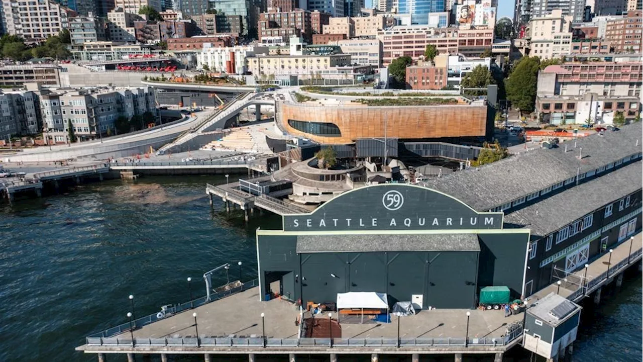 Contractor sues city of Seattle over Pier 58 waterfront redevelopment