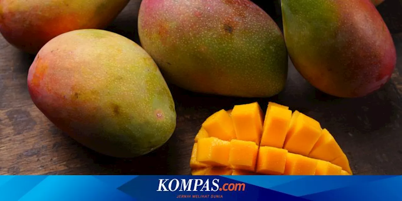 9 Kelompok Orang yang Sebaiknya Tidak Makan Mangga, Siapa Saja?