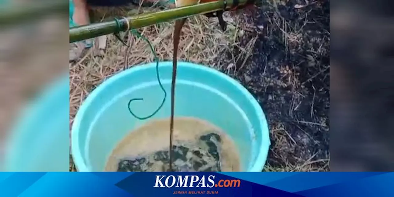 Video Viral Air Sumur Mengandung Minyak Tanah di Sumenep, Ini Sebabnya