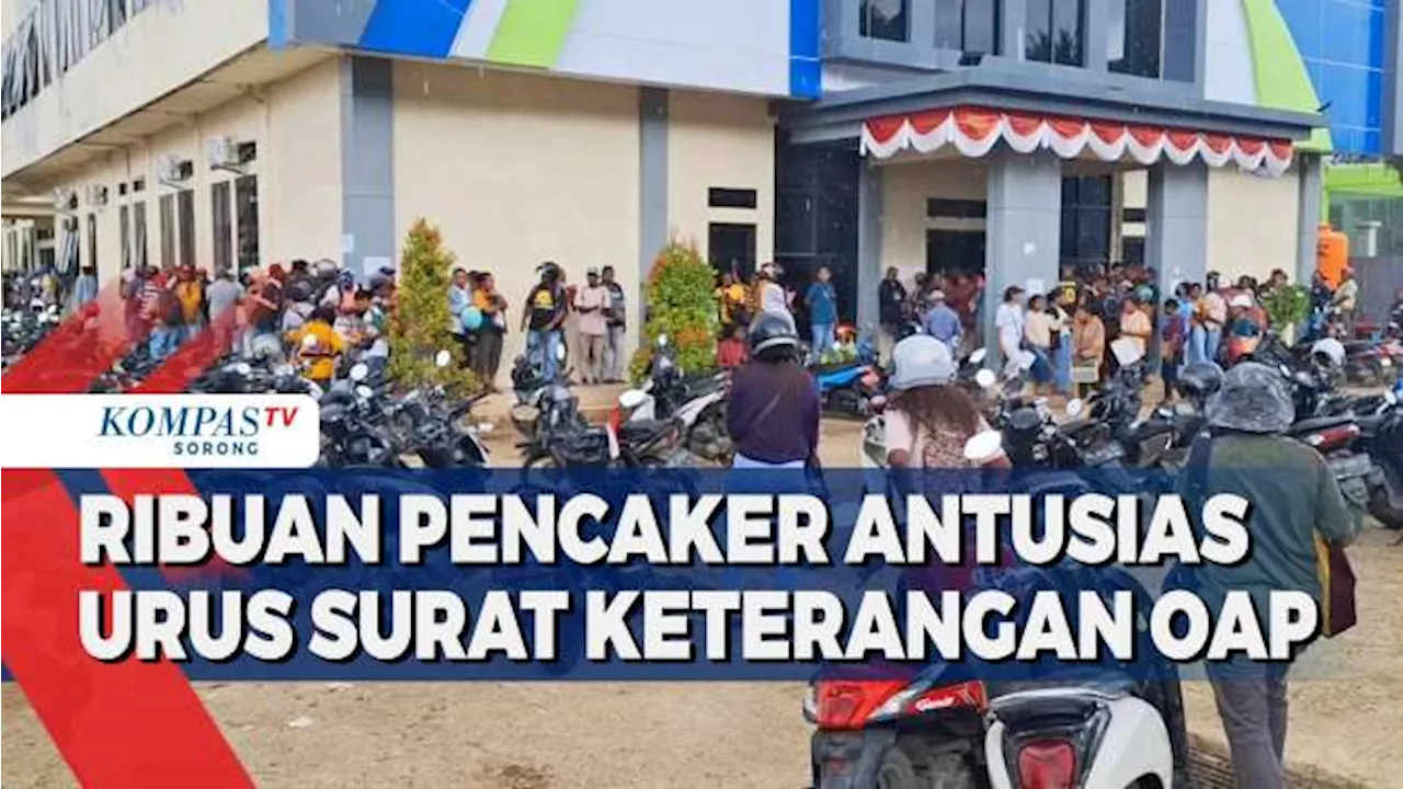 Ribuan Pencaker Antusias Urus Surat Keterangan OAP Syarat Penerimaan CPNS