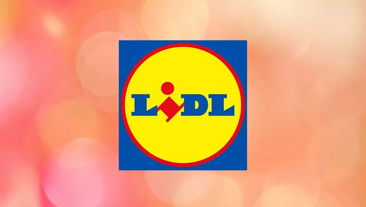 Les bricoleurs la valident : cette perceuse-visseuse Parkside Lidl est à moins de 30 euros