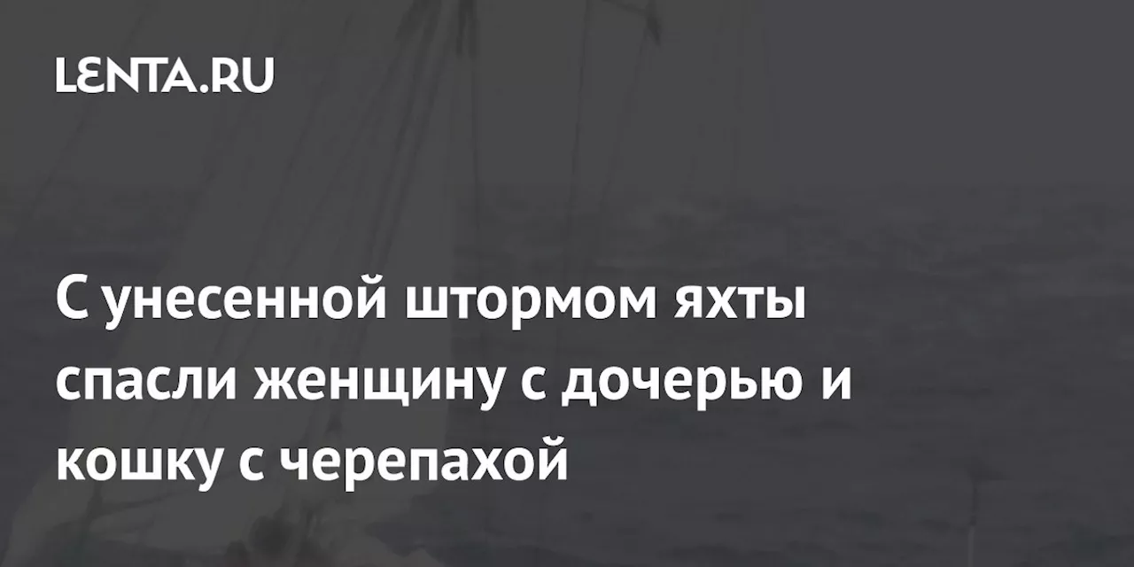 С унесенной штормом яхты спасли женщину с дочерью и кошку с черепахой