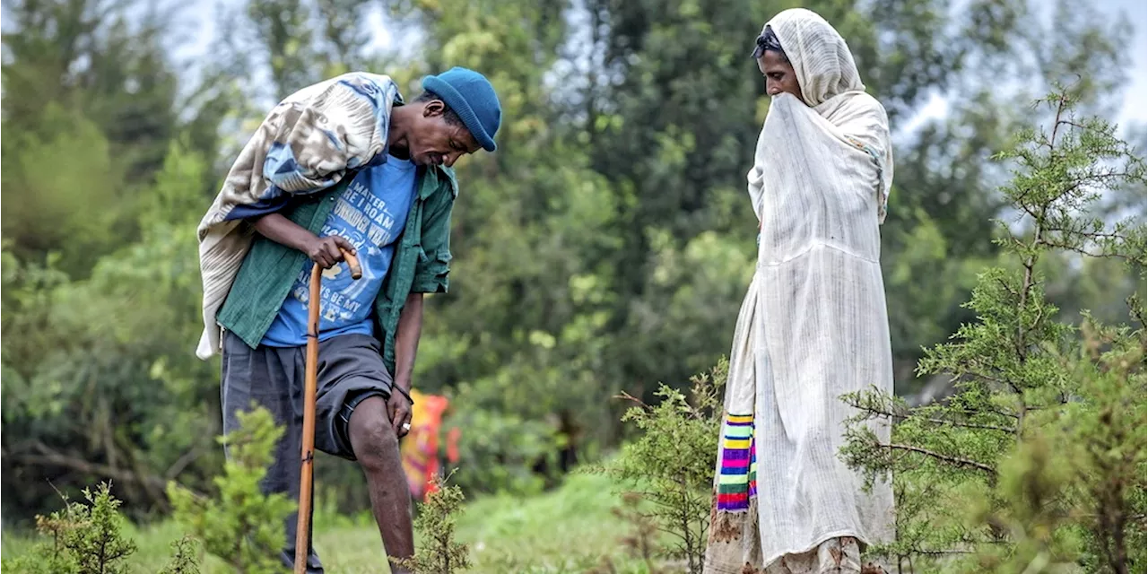 Éthiopie : le système de santé pris au piège du conflit armé en région Amhara