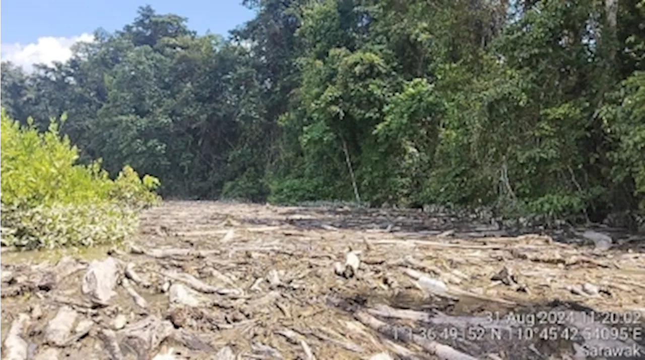 Natural resources board fines company over Balai Ringin logjam in Sarawak, orders immediate river cleanup