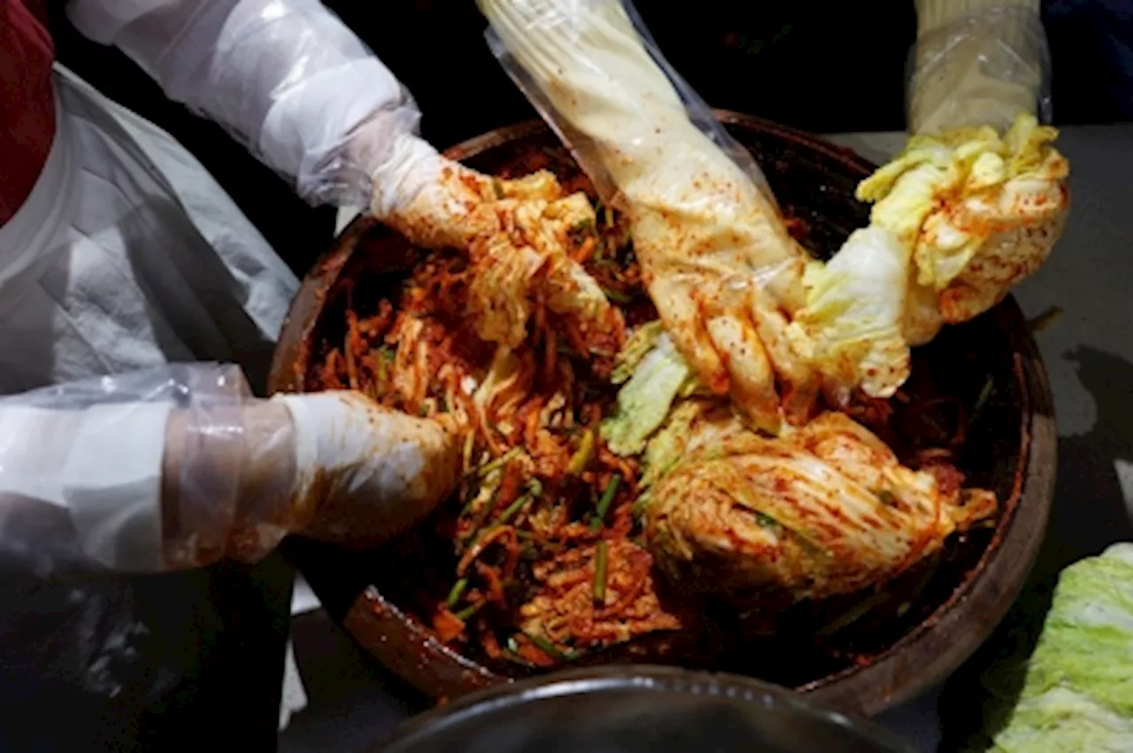 No more kimchi? South Korea’s beloved side dish under threat as napa cabbage wilts from climate change